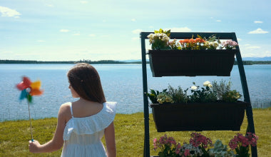 Gardens