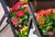 Fernie Vertical Garden