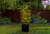 Savona Tomato Garden