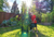 Savona Tomato Garden