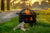 Oakridge Wood Fire Pit